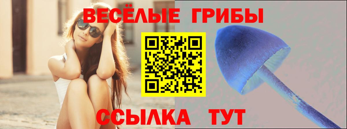 Псилоцибиновые грибы Magic Shrooms  где можно купить наркотик  Реутов  Псилоцибиновые грибы мухоморы  Вход с VPN 
