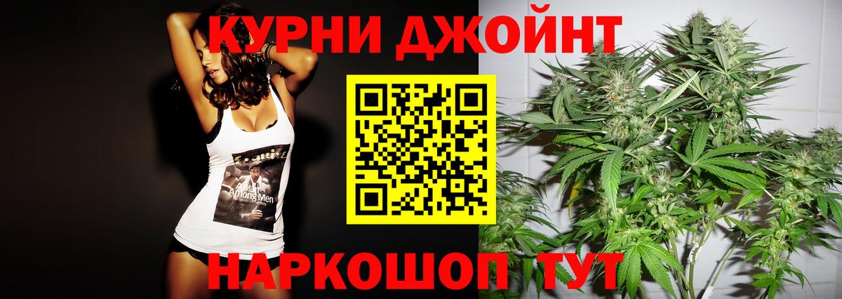 Каннабис план Реутов